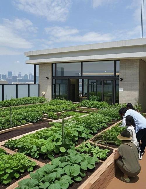 工业厂区屋顶儿童自然种植菜园
