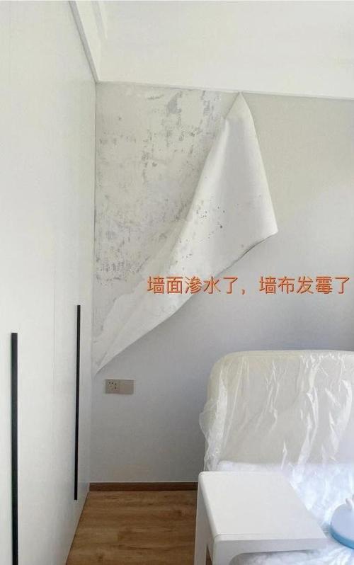 劣质除尘布掉毛粘乳胶漆墙面实景