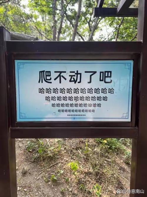 为什么现在大家一提到景点打卡就皱眉头？