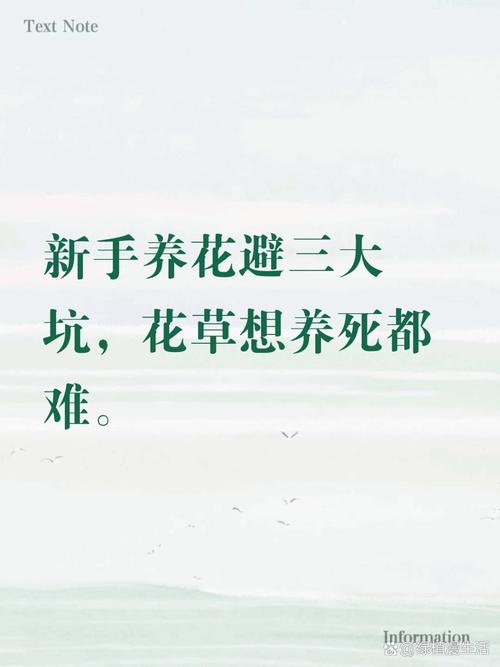 花三分钟就能避开绝大多数坑