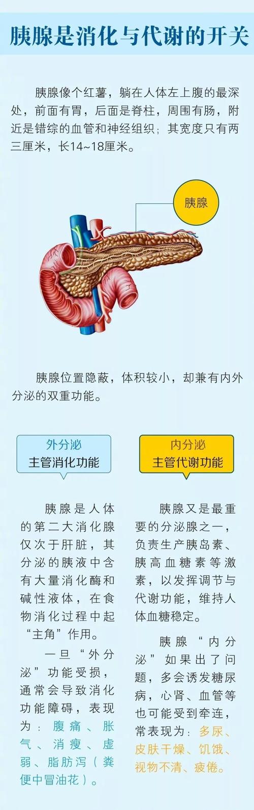 慢性胰腺炎胰腺分泌功能示意图