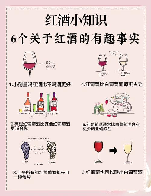下次买红酒,记住这几个关键词就行
