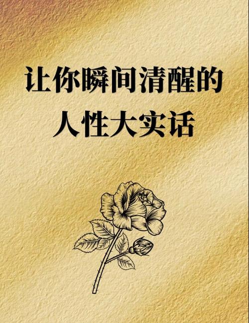 一点大实话