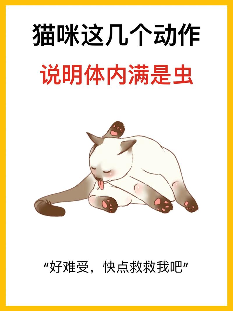 QA环节:你可能正抓耳挠腮
