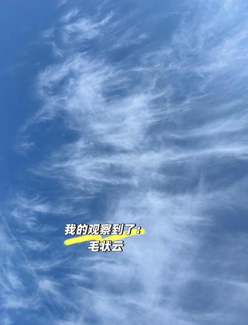 帆船:上了贼船,就别想坐得安稳-因为所以