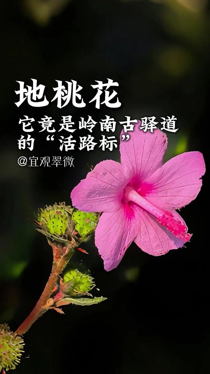 应用遍地开花，但各有讲究