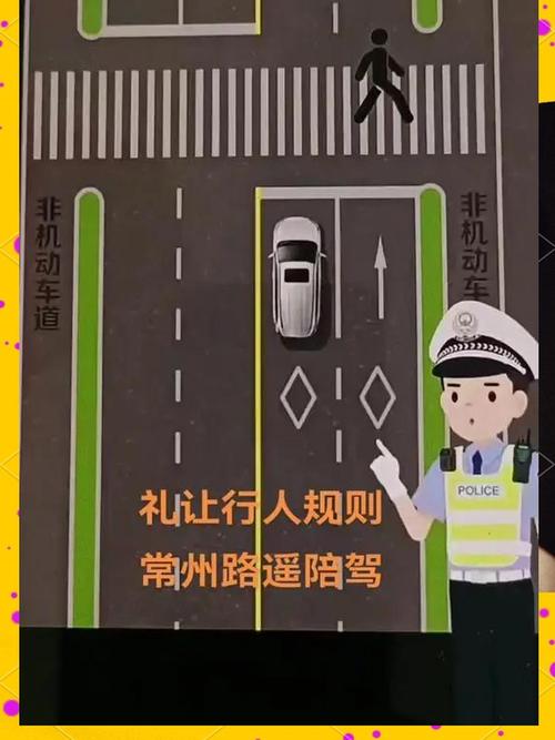 如何应对中国式过马路？