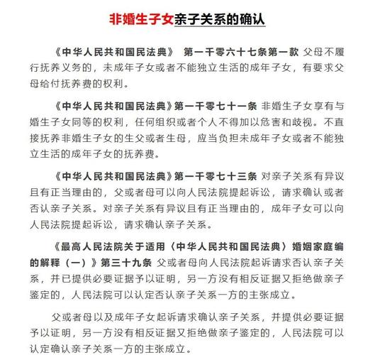 非婚生子女亲子关系确认诉讼证据链示意图
