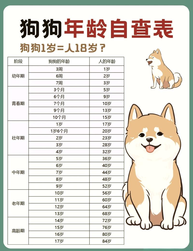 幼犬社会化关键期年龄范围图