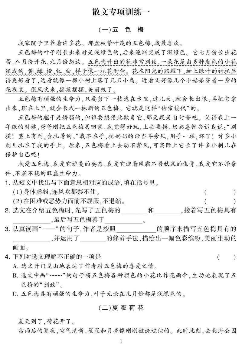 小学语文想象力激发阅读理解真题题目示例