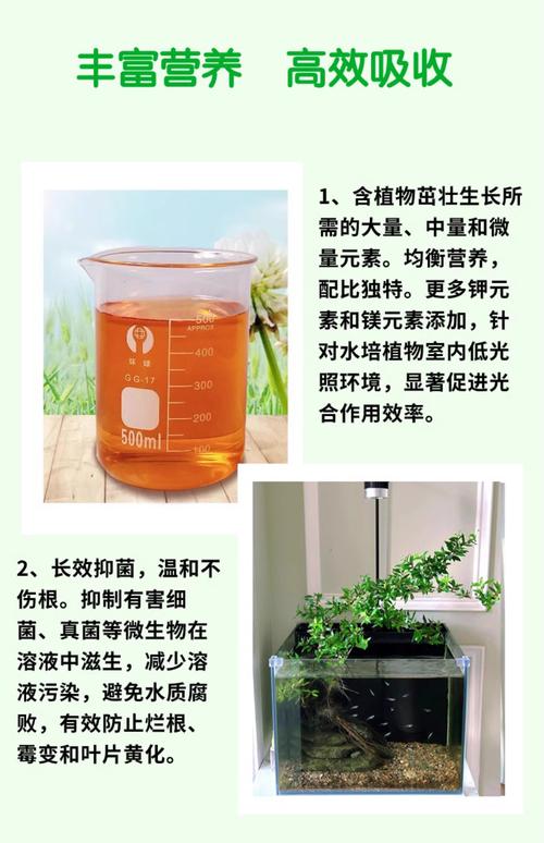 室内绿植液体肥稀释比例对照表