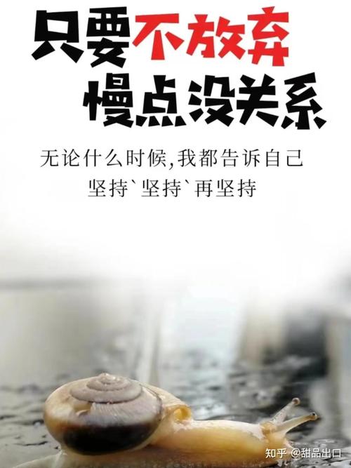四、节奏：慢一点，别催自己