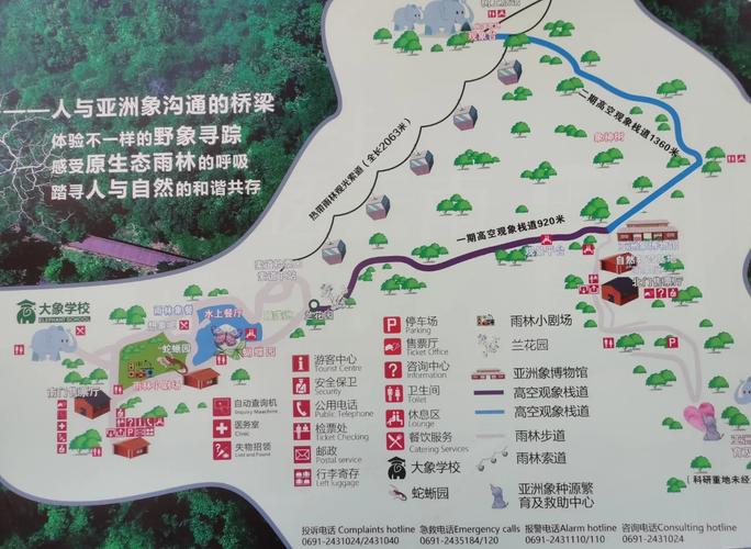 亲子旅行路线 西双版纳野象谷牧象体验