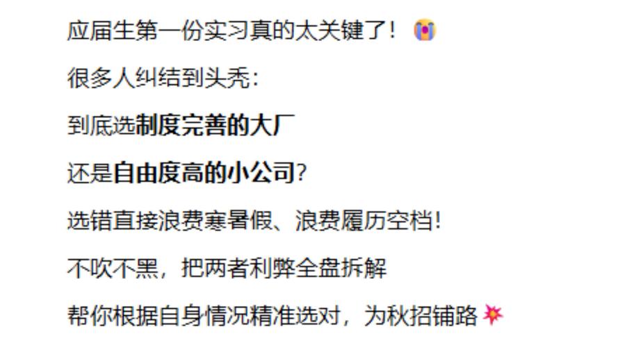 大学生实习选择大厂中小厂对比决策表