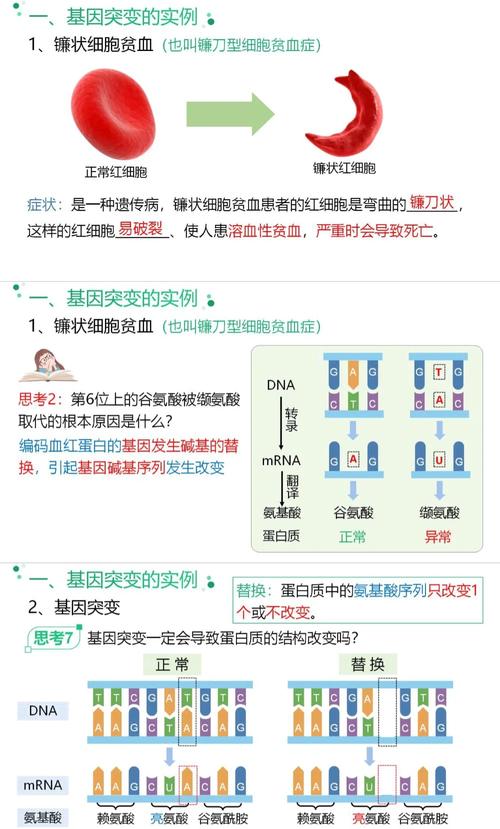 CRISPR基因编辑治疗镰刀细胞贫血流程图解