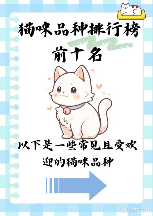 ⚡ 从“允许带宠”到“宠物友好文化”的隐形陷阱