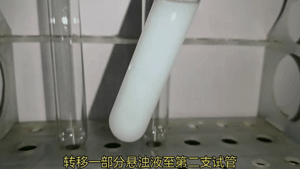 高中化学沉淀溶解平衡动态过程示意图