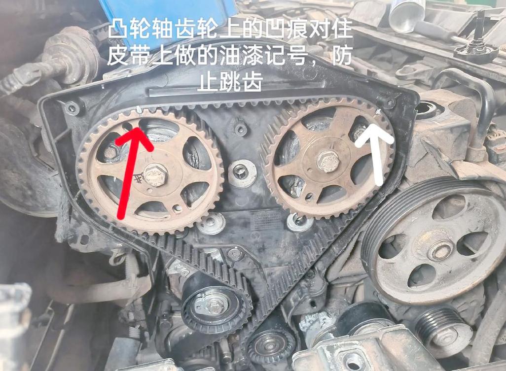 家用车发动机舱正时皮带位置示意图