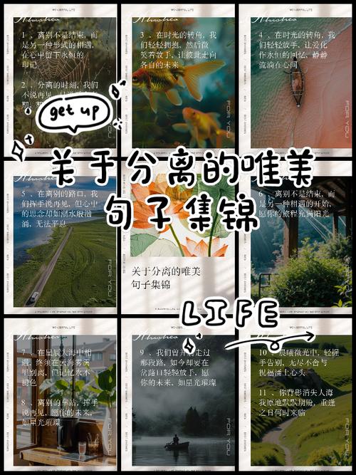 离心分离的未来?别扯那些虚的