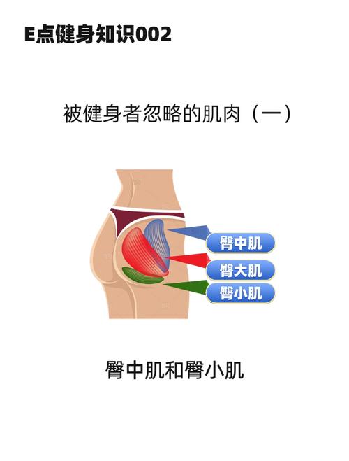 办公室久坐后紧绷肌肉分布图