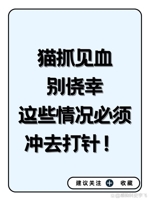 三、别急着刷量,先搞懂这几件事