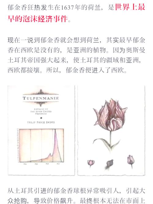 信任的泡沫,比郁金香还可怕