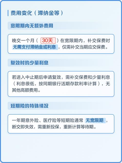保险宽限期与保单中止状态对比流程图