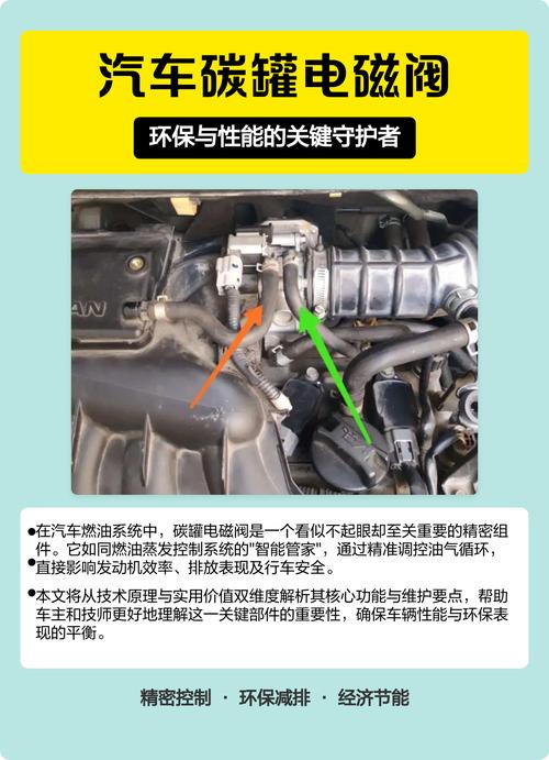汽车发动机舱碳罐电磁阀位置图