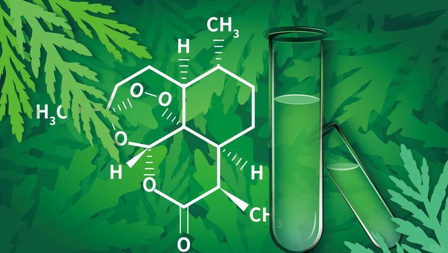 青蒿素分子结构模型与抗疟药物实物对比