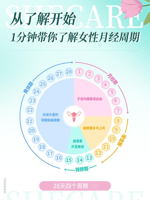 特殊阶段，别死套常规周期