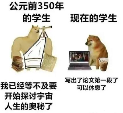 核心期刊投稿被拒的博士崩溃表情包