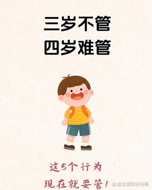 规则就是规则，别拿情绪当武器