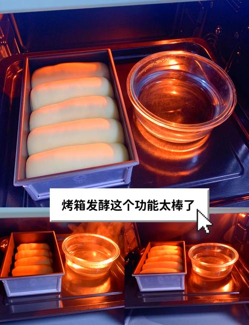 🌡️ 发酵与烘烤的终极玄学