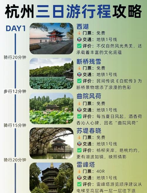 真逛景区碰到相关的事,照着这三步走就行