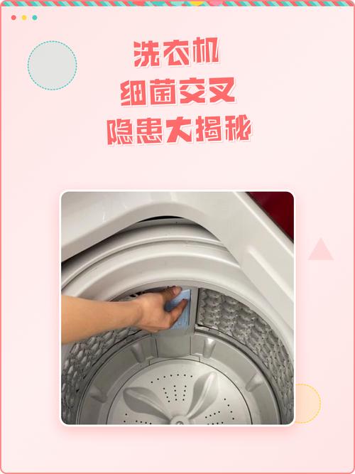 家用滚筒洗衣机混洗衣物细菌分布示意图