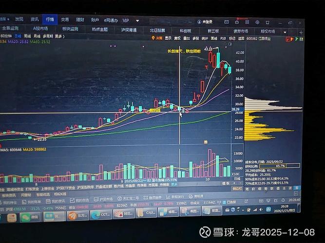 法庭上的筹码游戏：你欠下的不是钱，是“证据闭环”