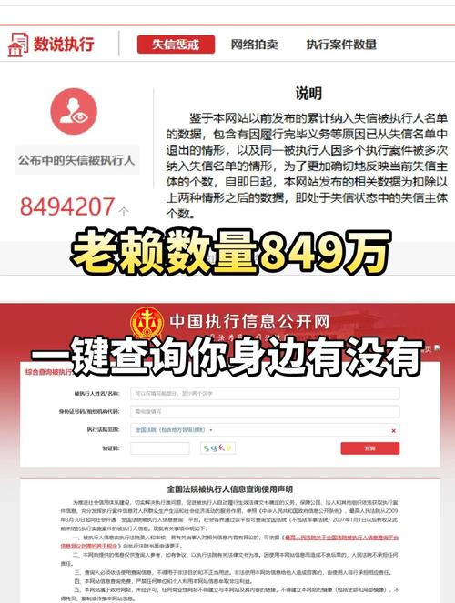法院执行局查询被执行人数字人民币流水记录