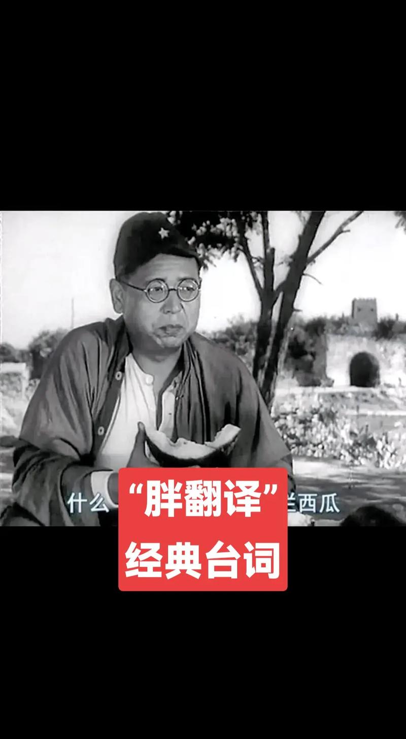 谁来当翻译官？