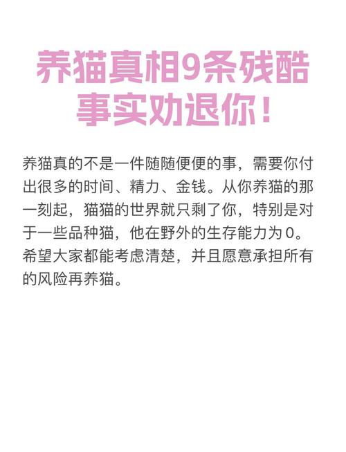 养猫劝退指南:你必须知道的残酷真相