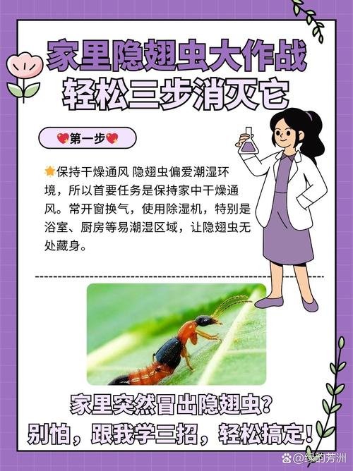 家庭防虫，做好这几步比什么都管用