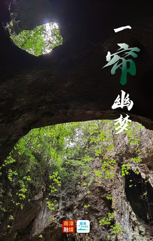 湖北南漳简家洞寨入口古藤