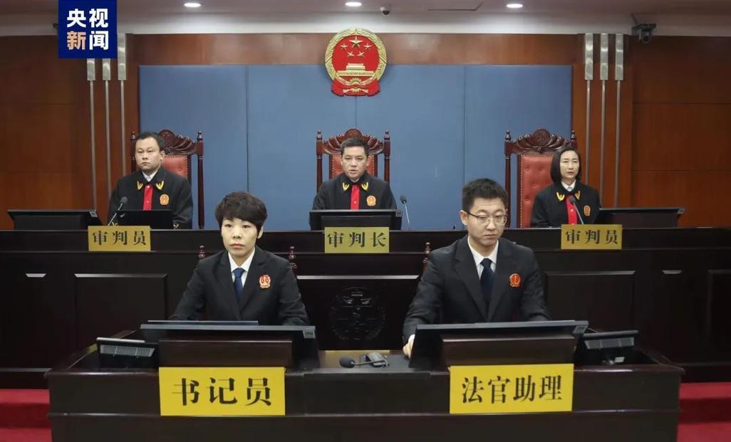 法院庭审银行流水证据质证现场