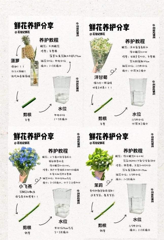 打理花草的小用法