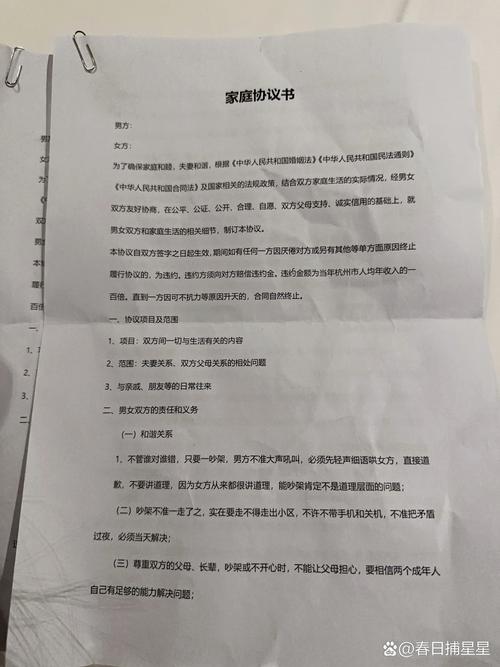 亲子共同手写的家庭追星时间约定协议