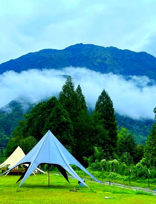 可以实打实参与的山野乐趣