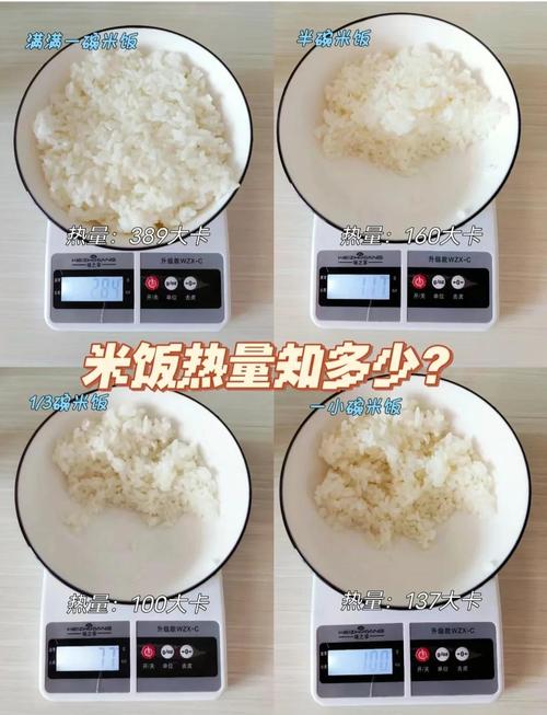 手握15颗巴旦木与一碗米饭热量对比示意图