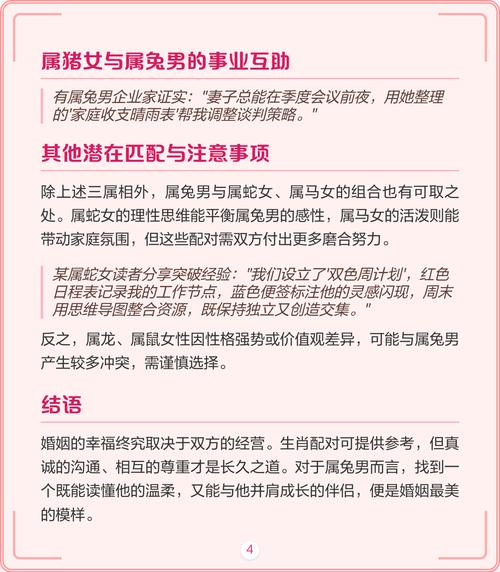 各推荐对象深度解析
