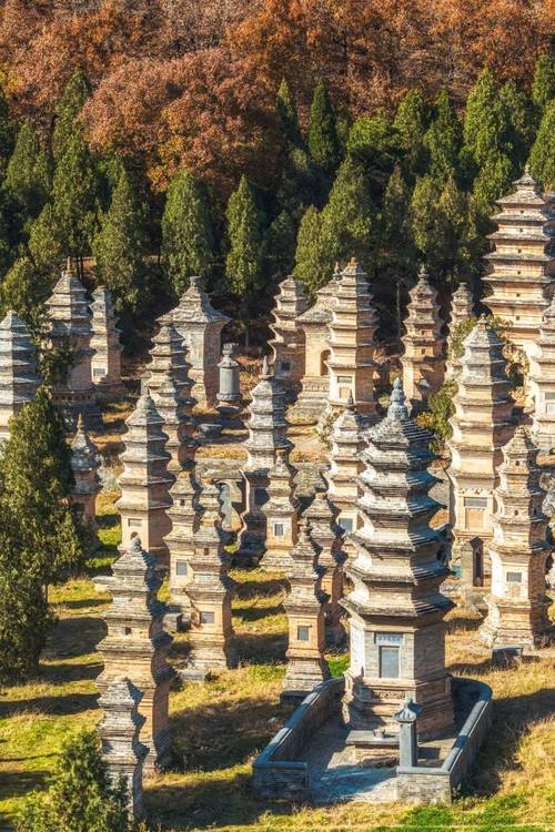 嵩山少林寺塔林秋日全景