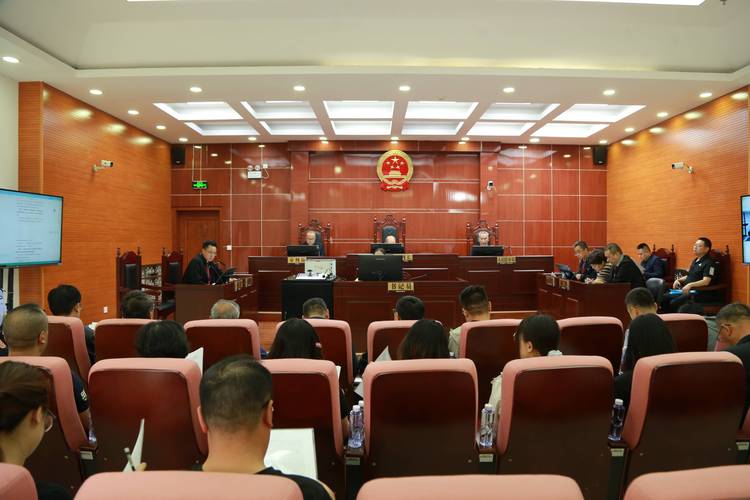 法院庭审当事人举证环节现场照片