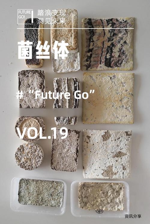 科研成果：那场从论文到现实的冒险，到底卡在哪儿了？
